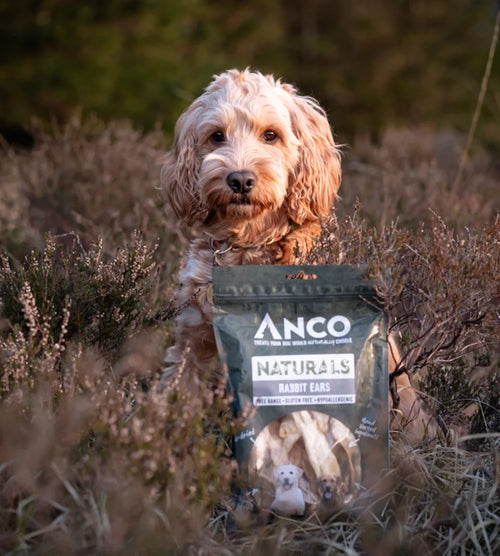 Anco Naturals Rabbit Ears 100g