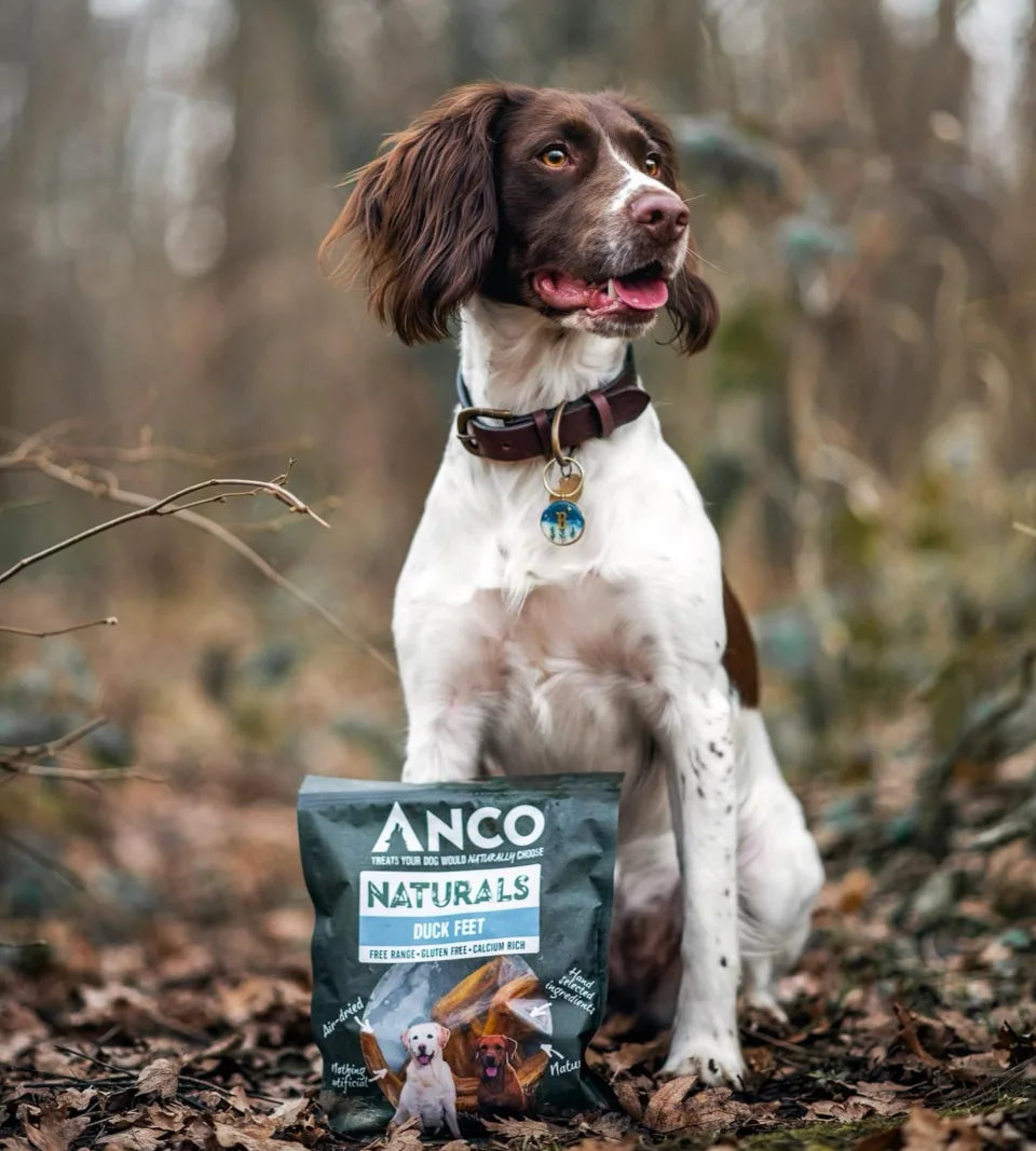 Anco Naturals Duck Feet 100g