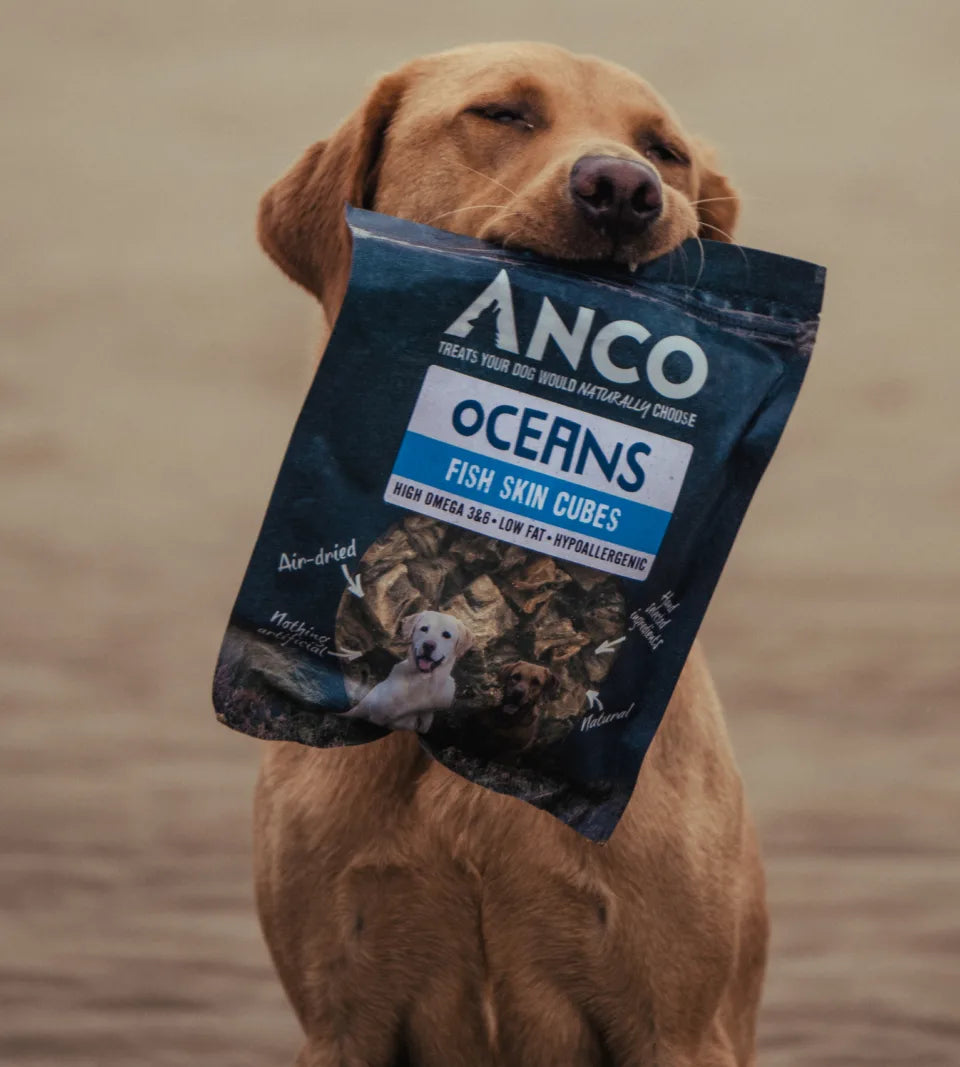 Anco Oceans Fish Skin Cubes 100g