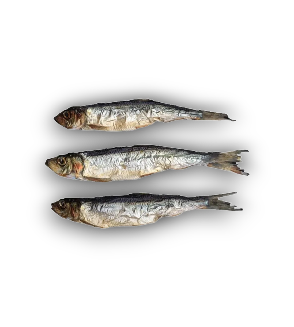 Anco Oceans Dried Herring 10pk