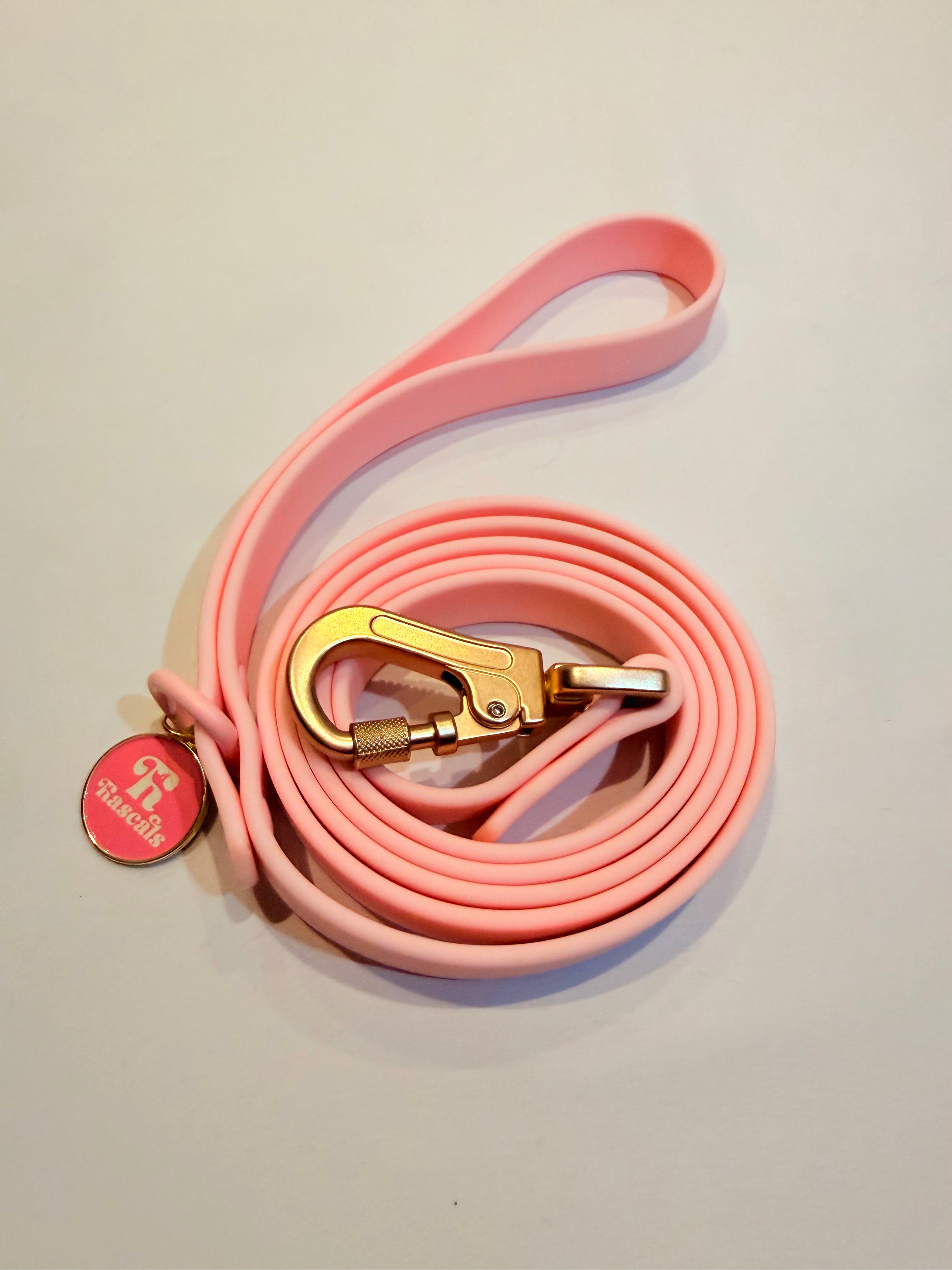 Waterproof collars and leads *£28 when you order a collar and lead*