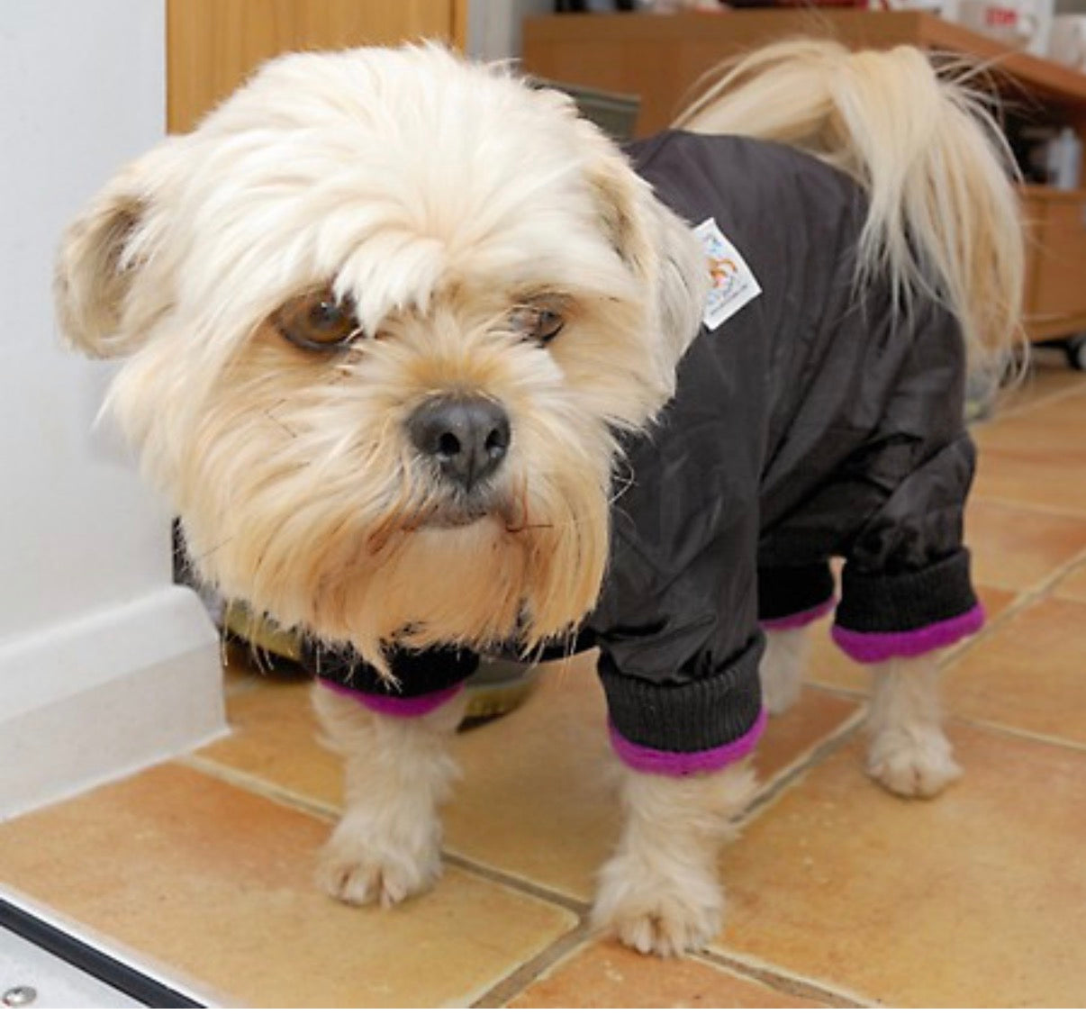 Indoor Drying Dog Coat