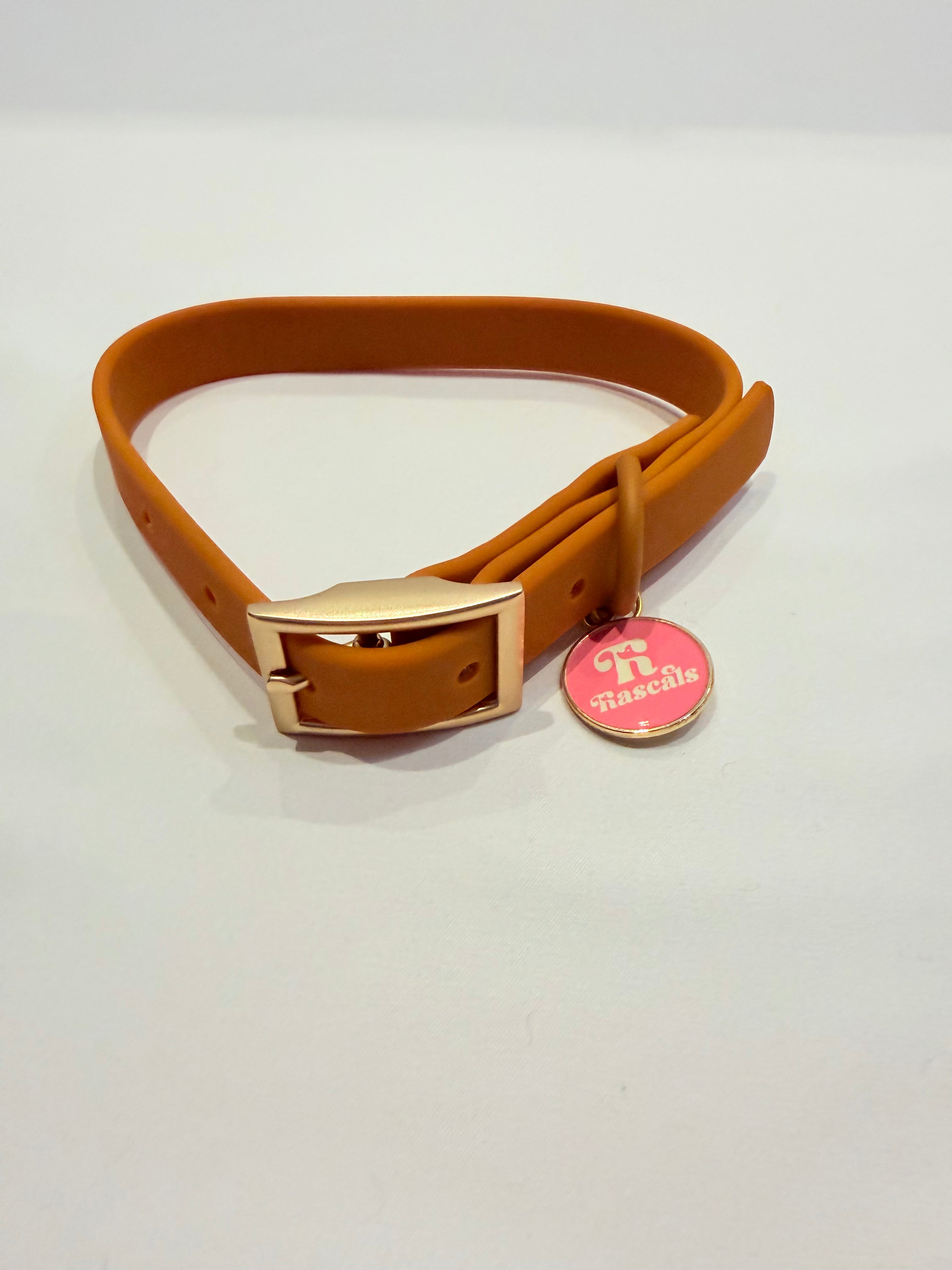 Waterproof collars and leads *£28 when you order a collar and lead*
