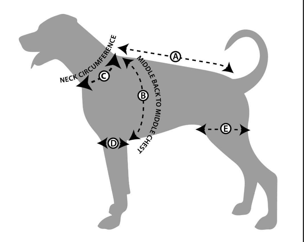 Indoor Drying Dog Coat