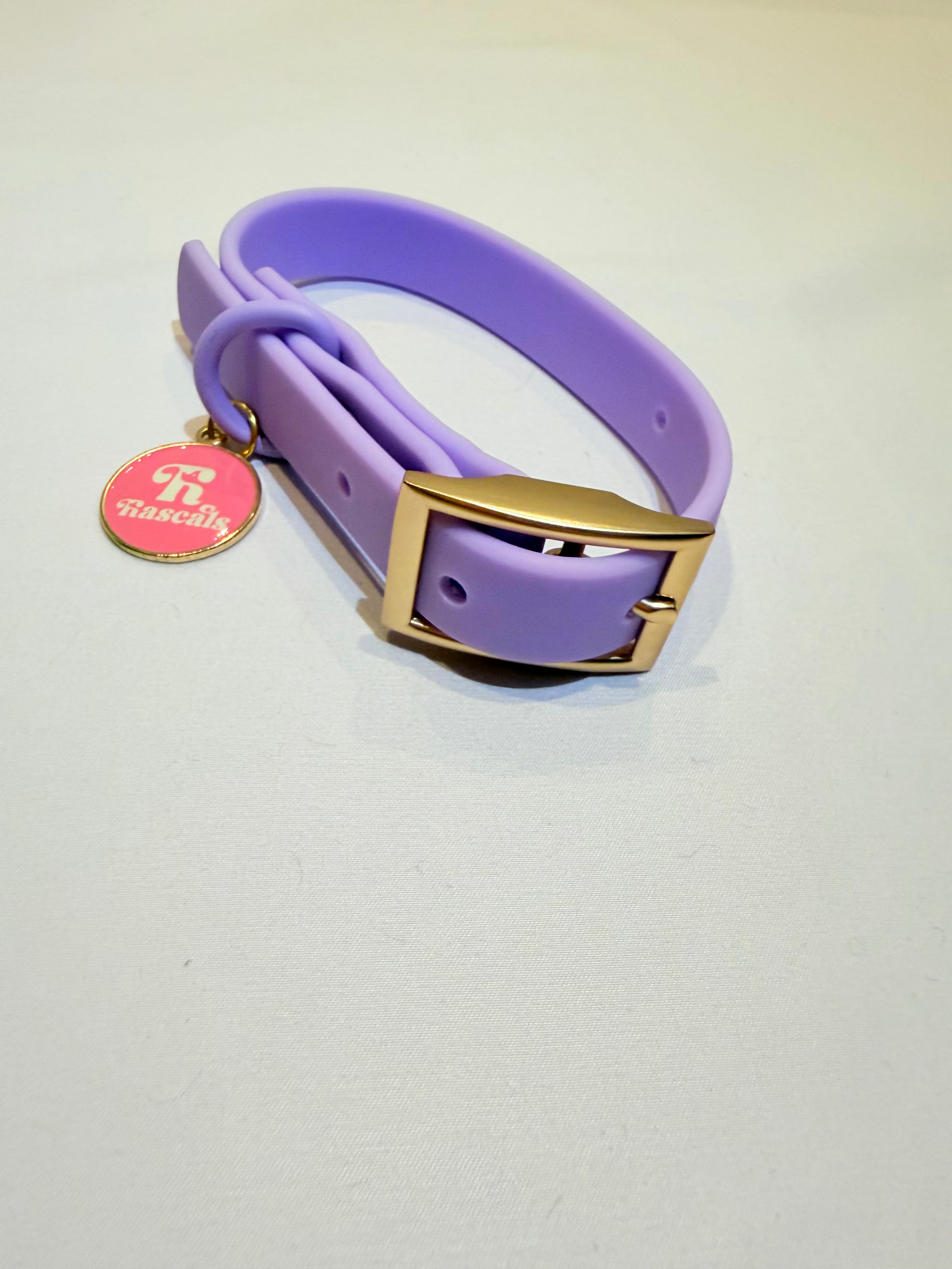 Waterproof collars and leads *£28 when you order a collar and lead*