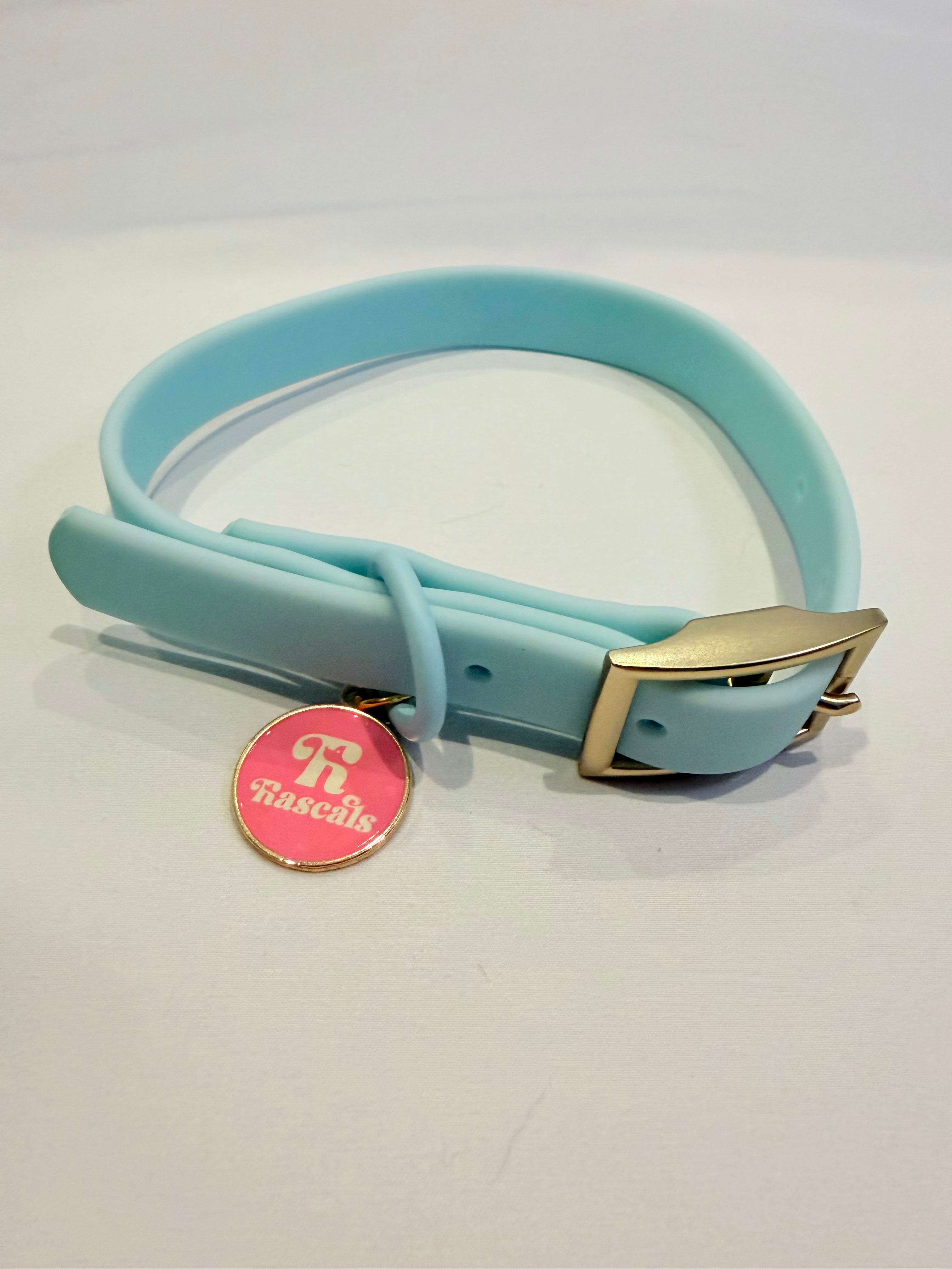 Waterproof collars and leads *£28 when you order a collar and lead*