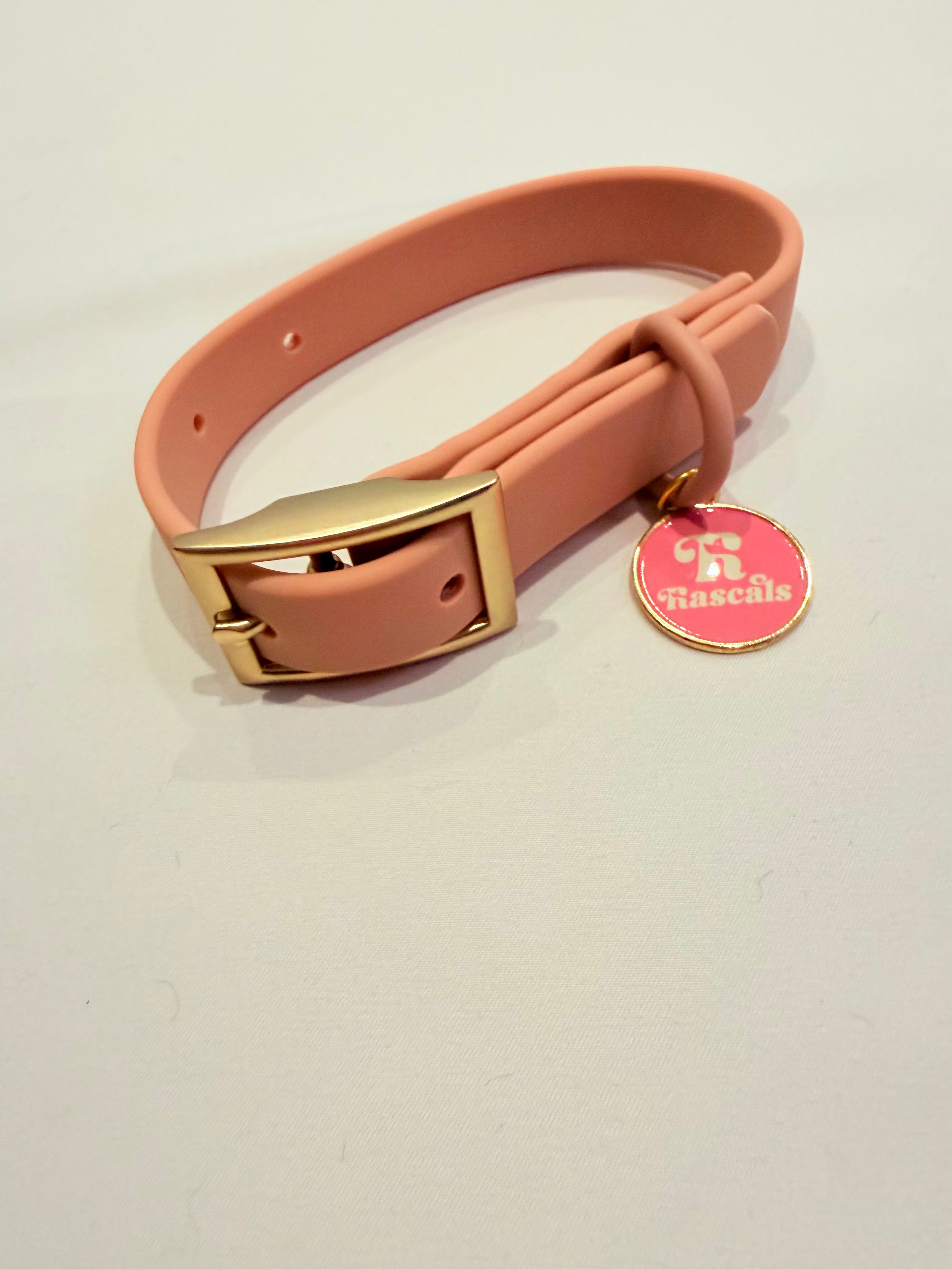 Waterproof collars and leads *£28 when you order a collar and lead*