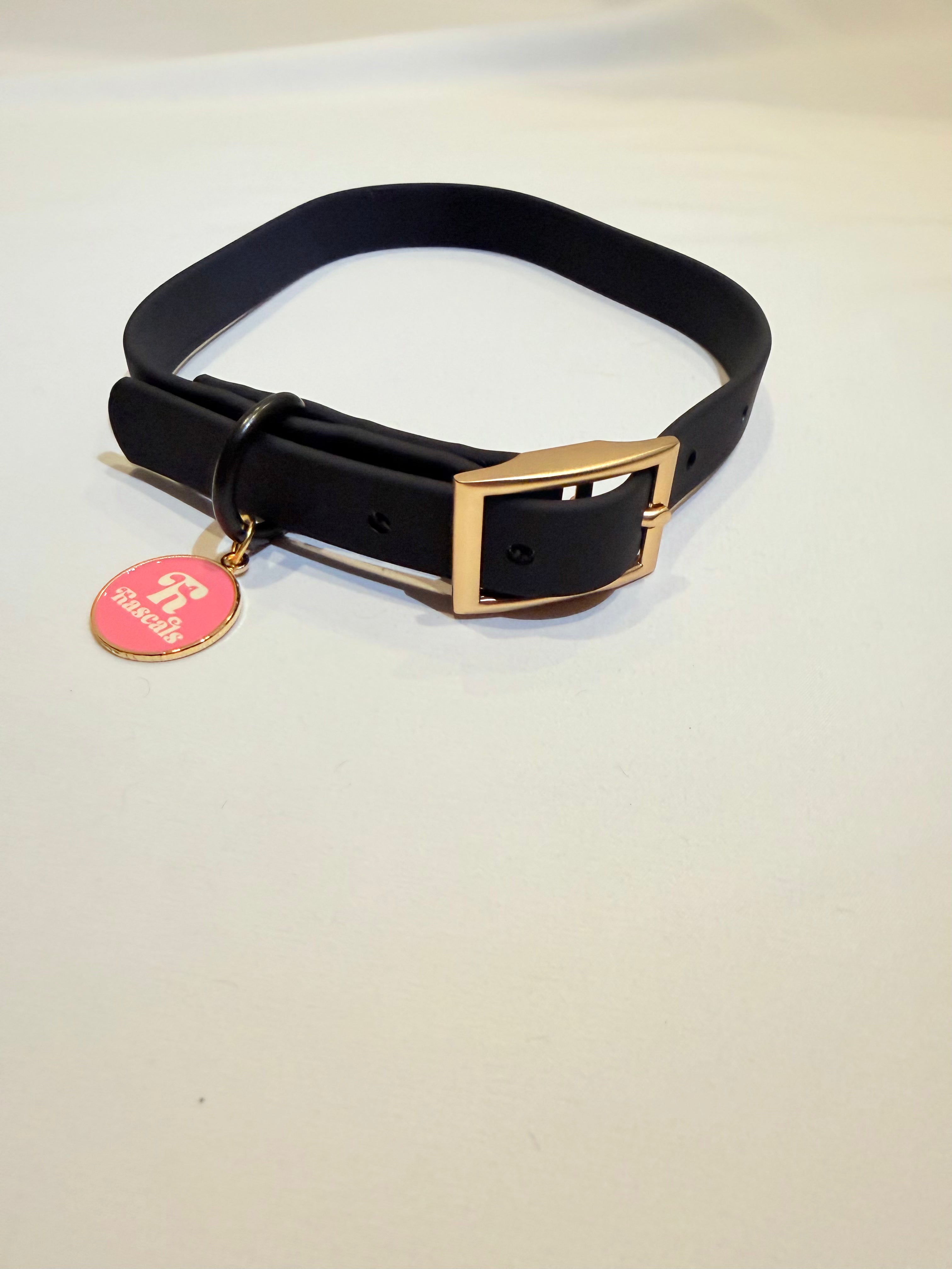 Waterproof collars and leads *£28 when you order a collar and lead*