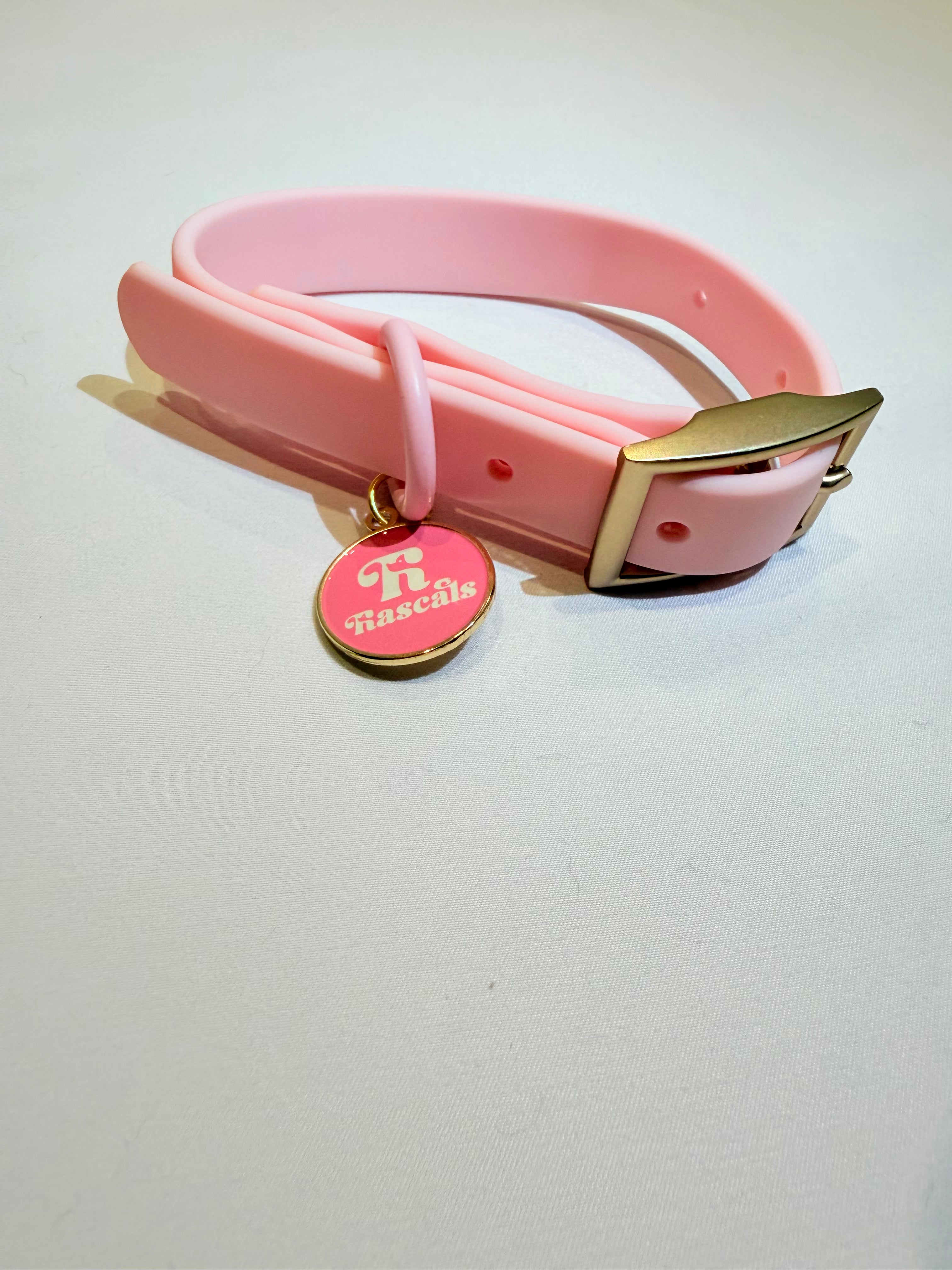 Waterproof collars and leads *£28 when you order a collar and lead*