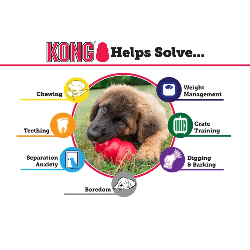 Kong classic medium