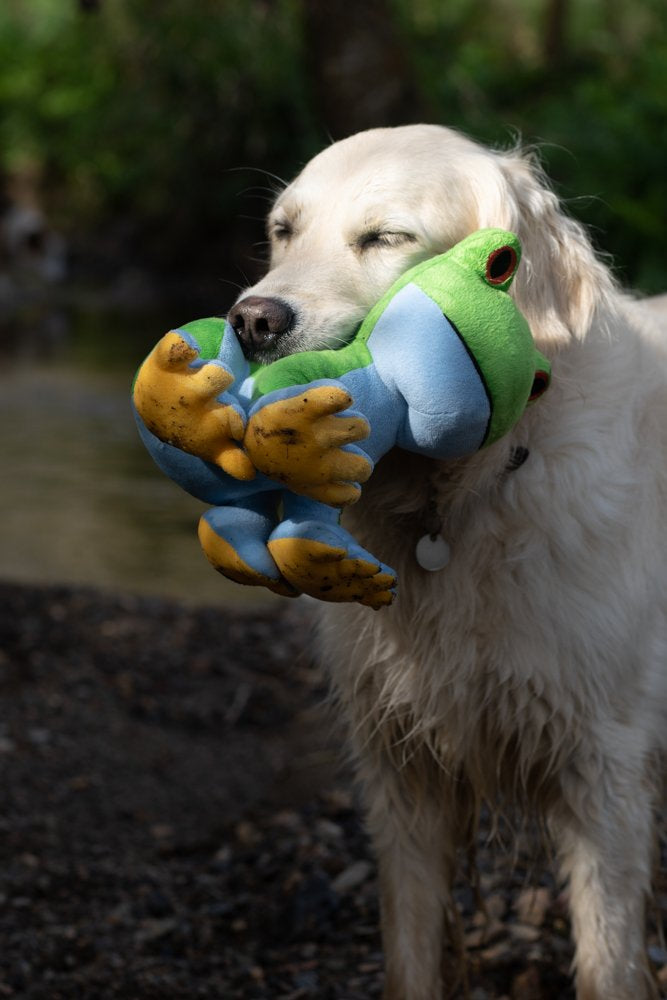 PETFACE PLANET TREV TREE FROG PLUSH DOG TOY
