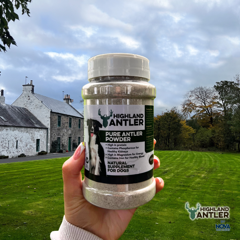 Pure Antler Powder (Supplement) 500ml