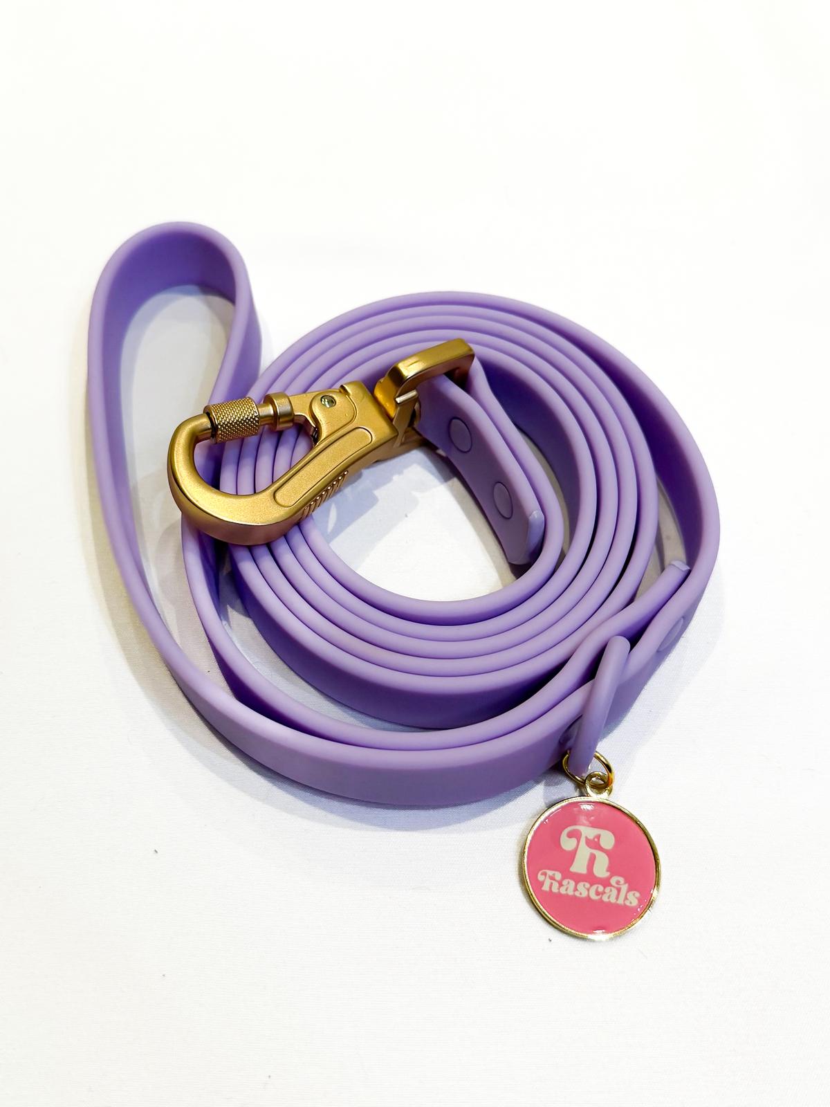 Waterproof collars and leads *£28 when you order a collar and lead*