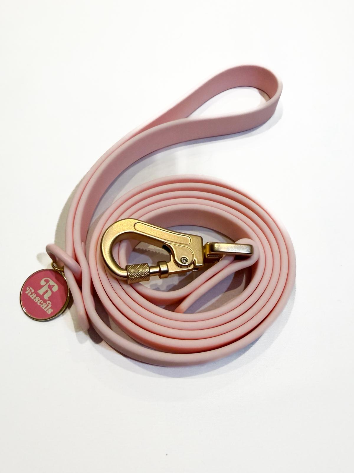 Waterproof collars and leads *£28 when you order a collar and lead*