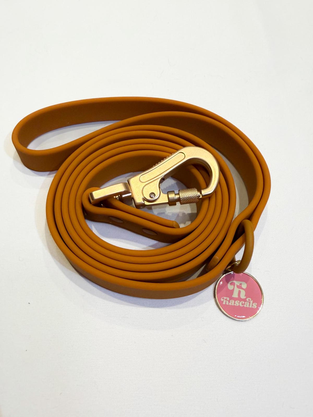 Waterproof collars and leads *£28 when you order a collar and lead*