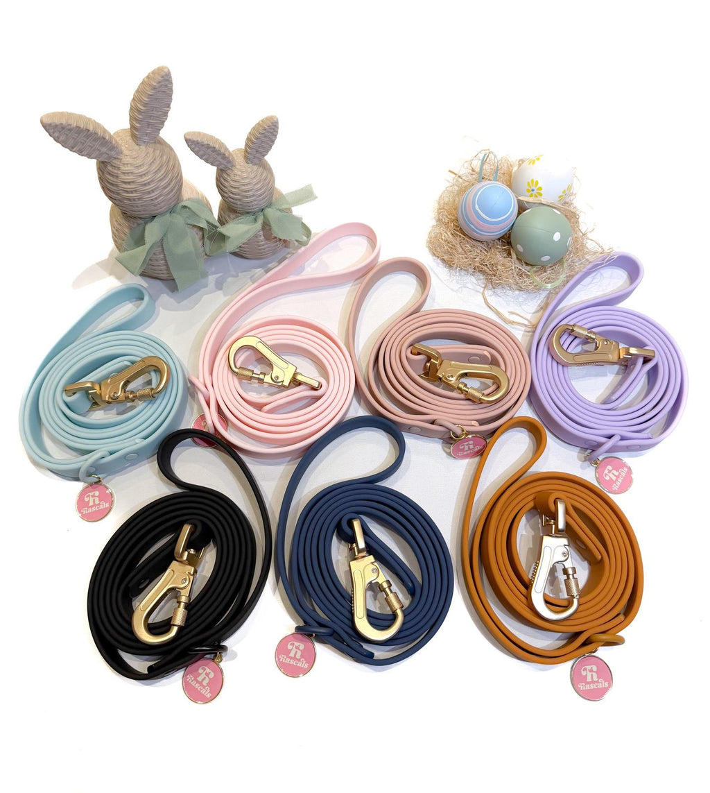 Waterproof collars and leads *£28 when you order a collar and lead*