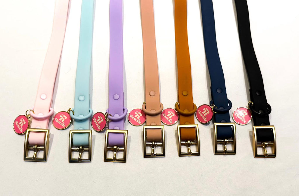 Waterproof collars and leads *£28 when you order a collar and lead*