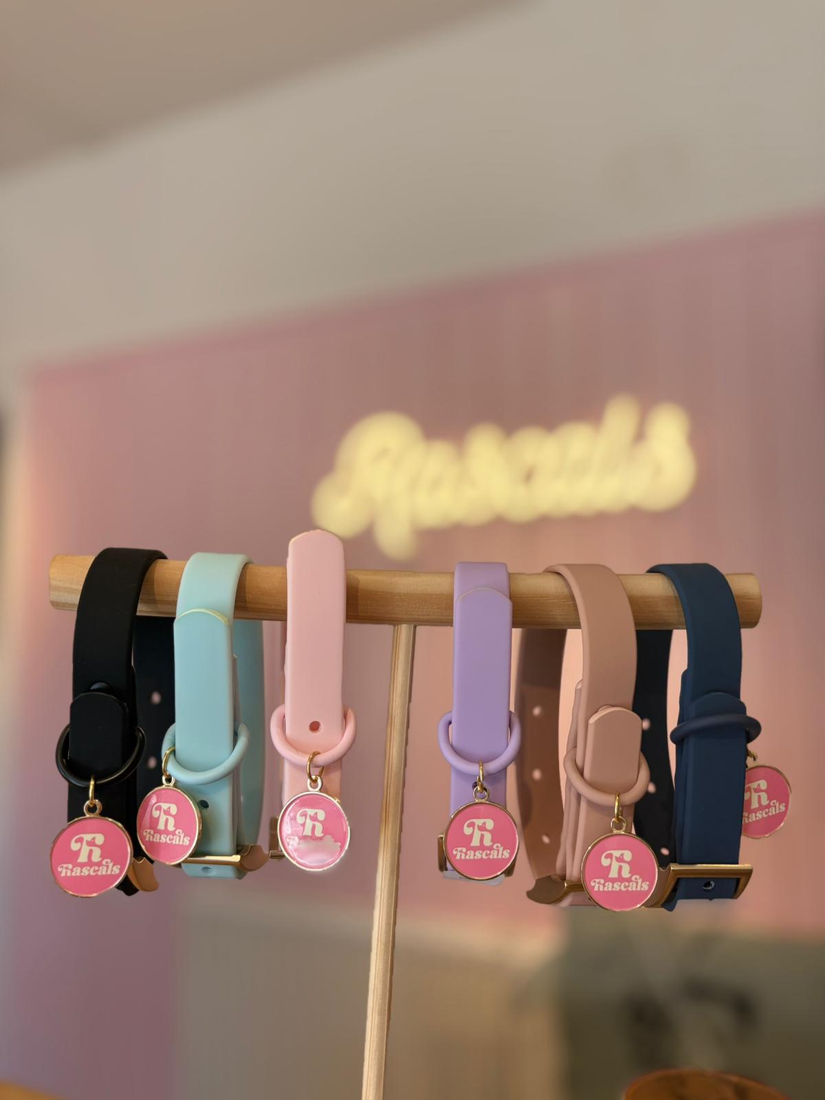 Waterproof collars and leads *£28 when you order a collar and lead*