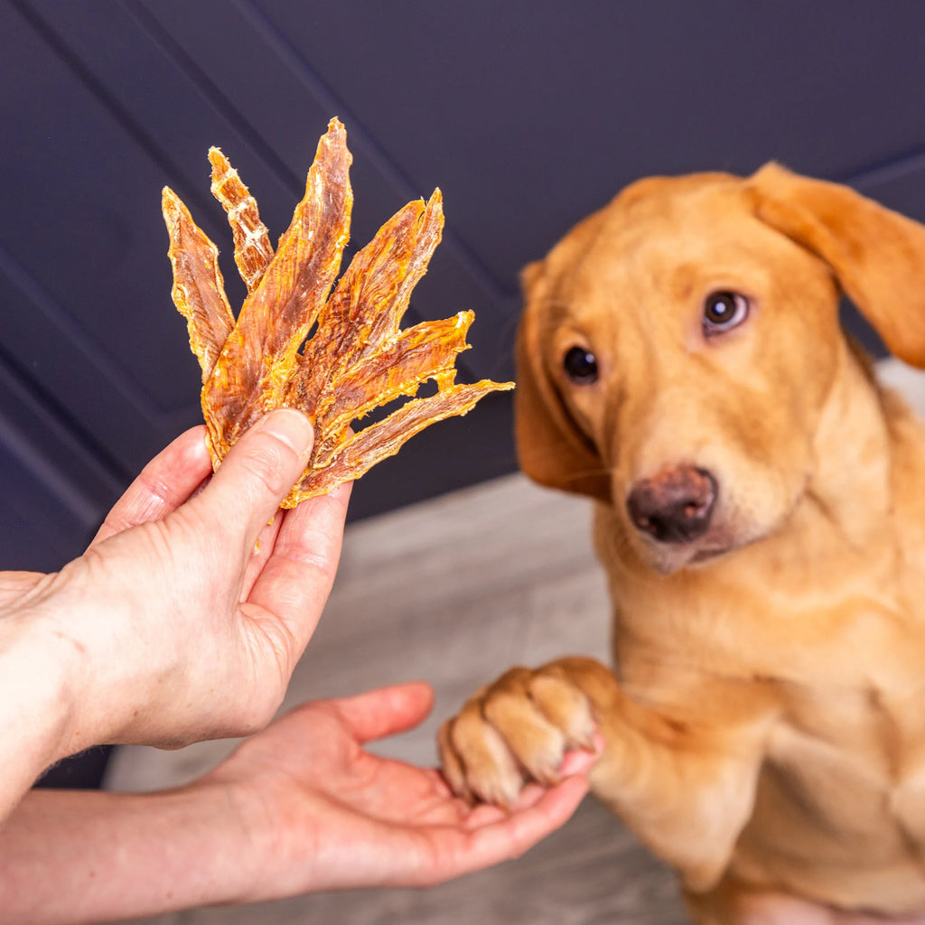 Duck Jerky 120g
