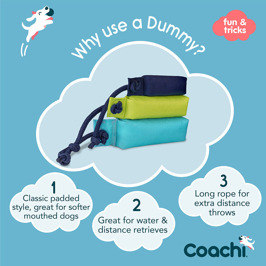 Coachi Dog Training Dummy Lime Medium