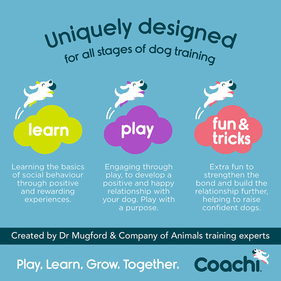 Coachi Dog Training Dummy Lime Medium