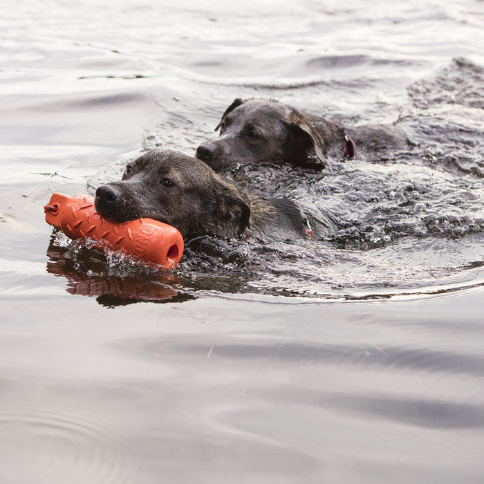 KONG Training Dummy For Dogs