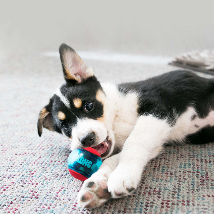 KONG Squeezz Action Ball for Dogs - Medium