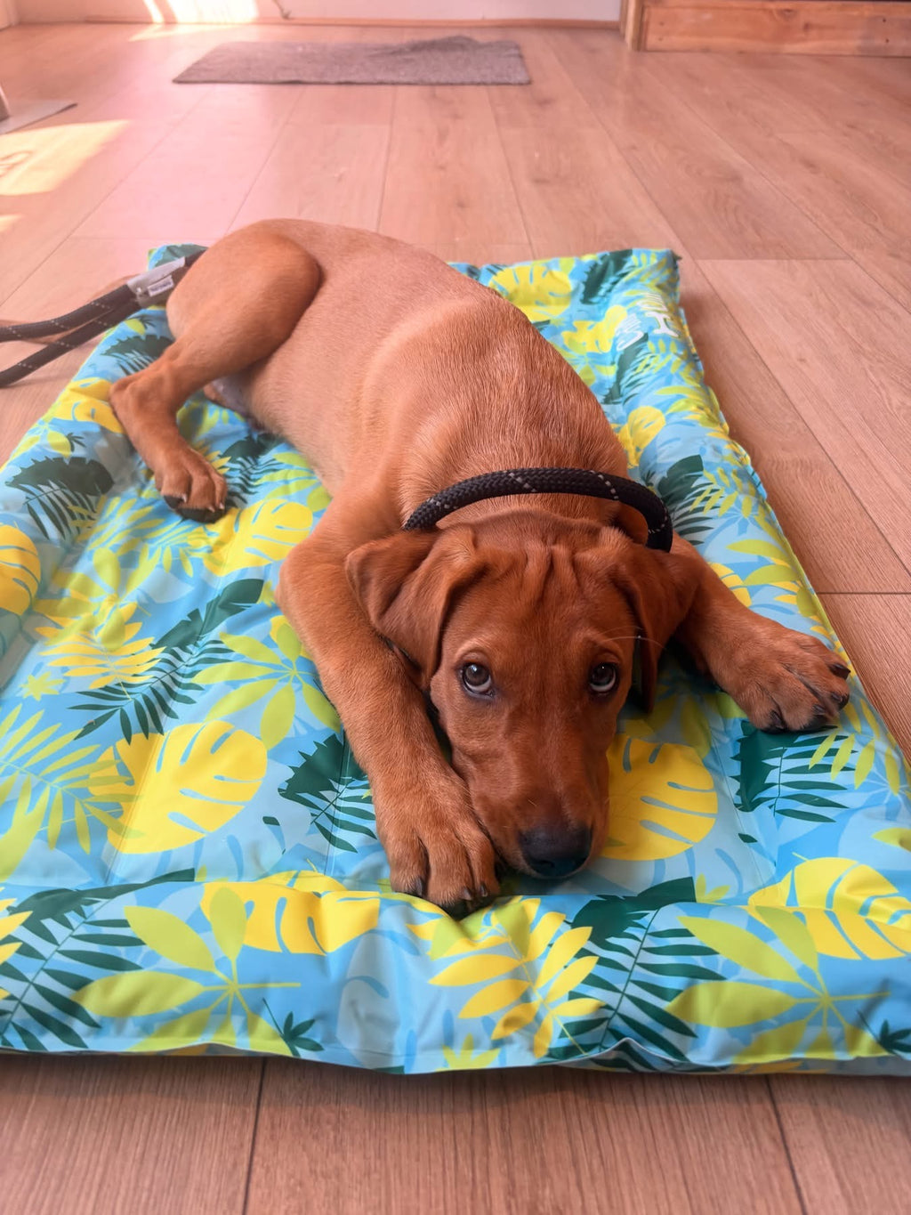 Tropical cooling mat - medium