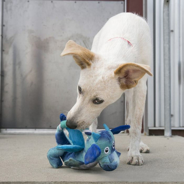 KONG Dragon Knots Toy for Dogs