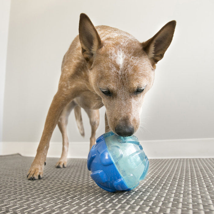 KONG Rewards Treat Ball for Dogs - Large