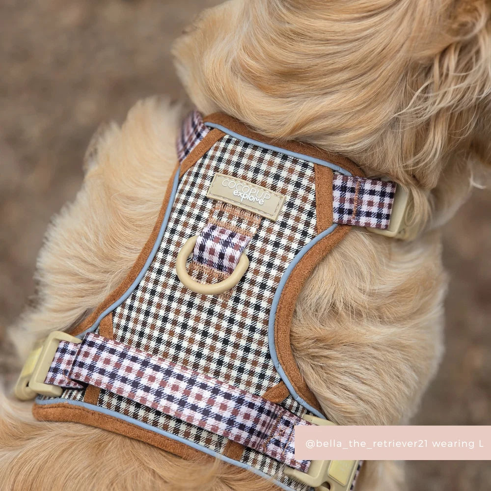 COCOPUP EXPLORE HARNESS - HERITAGE CHECK