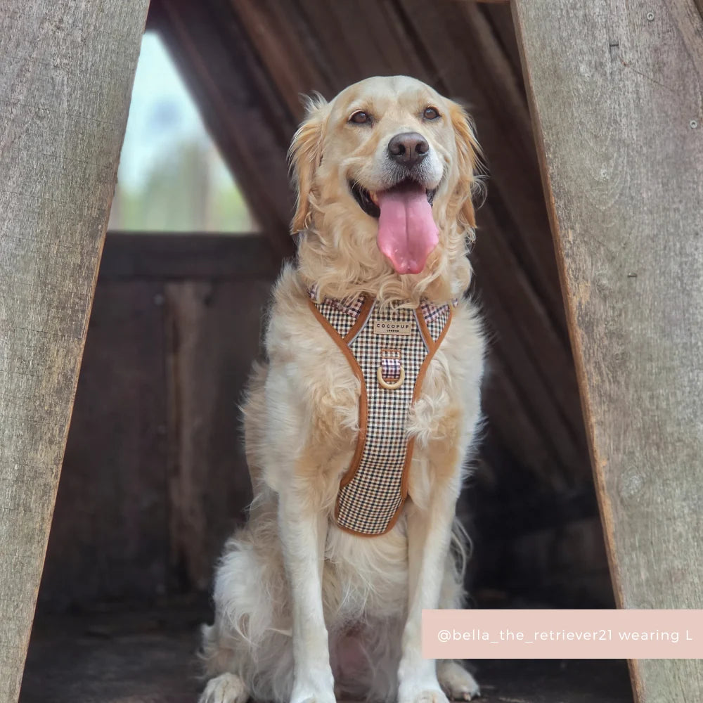 COCOPUP EXPLORE HARNESS - HERITAGE CHECK