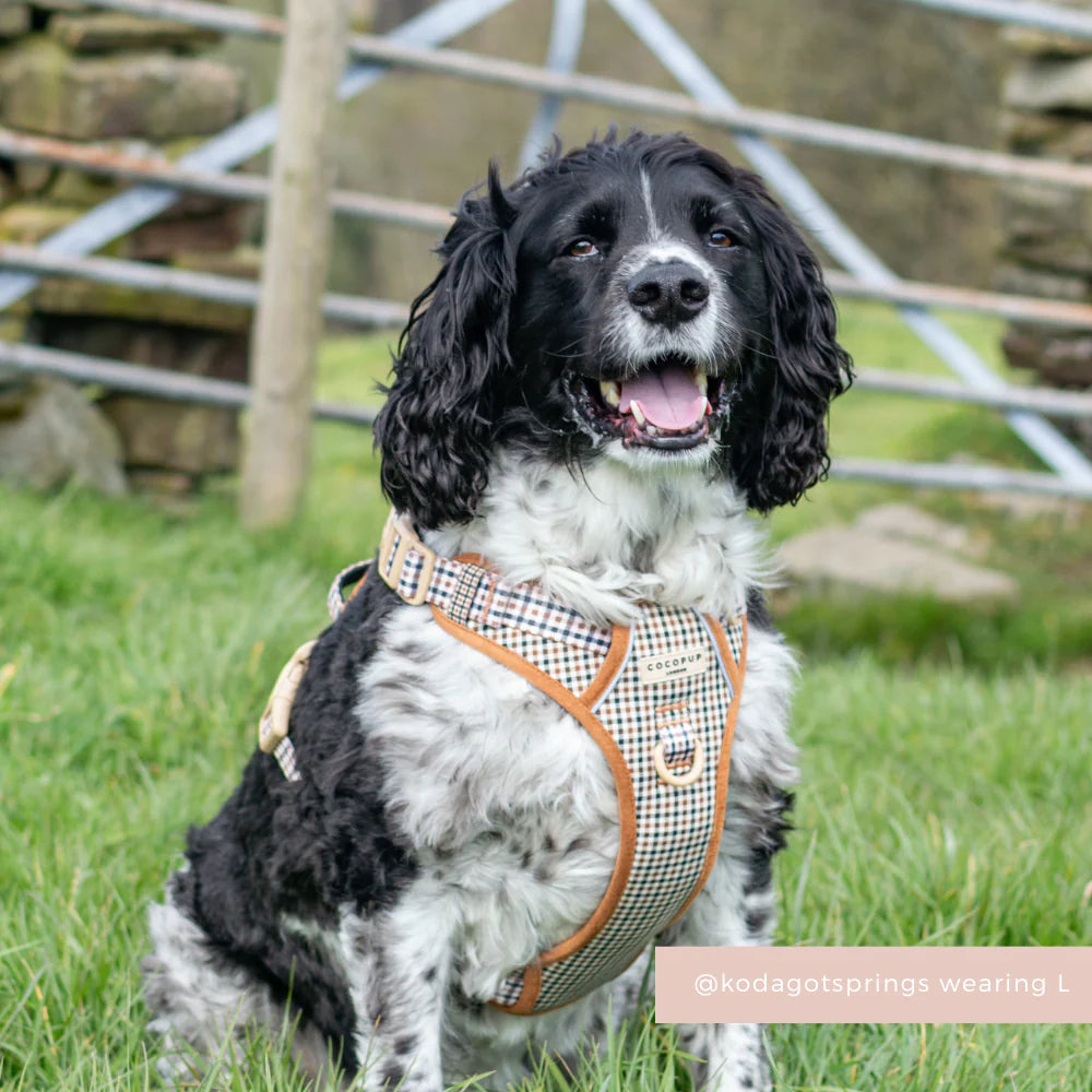 COCOPUP EXPLORE HARNESS - HERITAGE CHECK