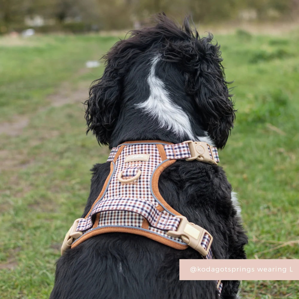 COCOPUP EXPLORE HARNESS - HERITAGE CHECK