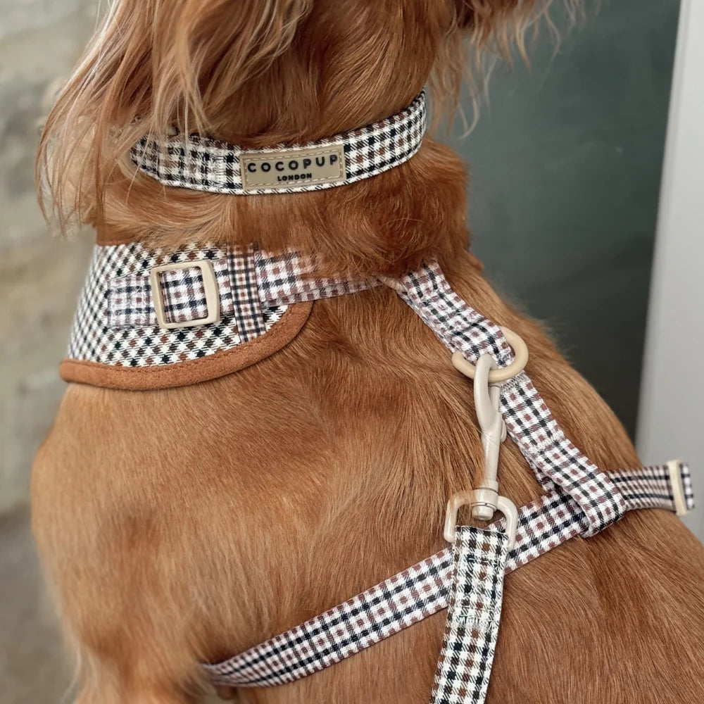 COCOPUP HERITAGE CHECK COLLAR