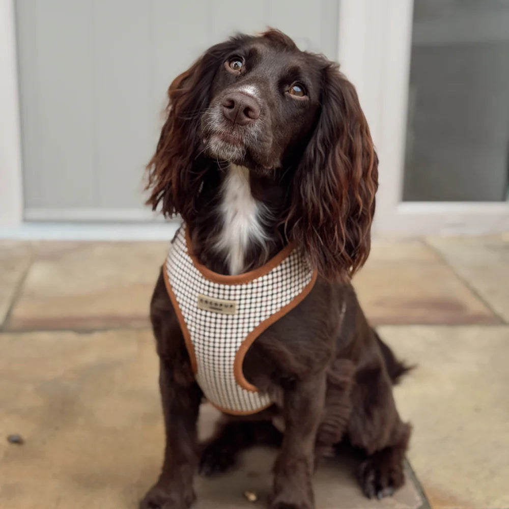 COCOPUP HERITAGE CHECK ADJUSTABLE NECK HARNESS