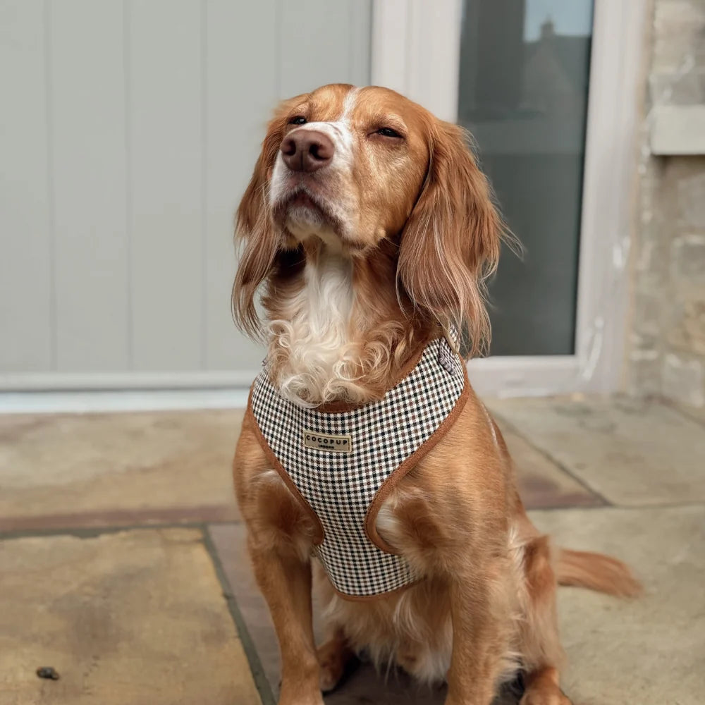 COCOPUP HERITAGE CHECK ADJUSTABLE NECK HARNESS