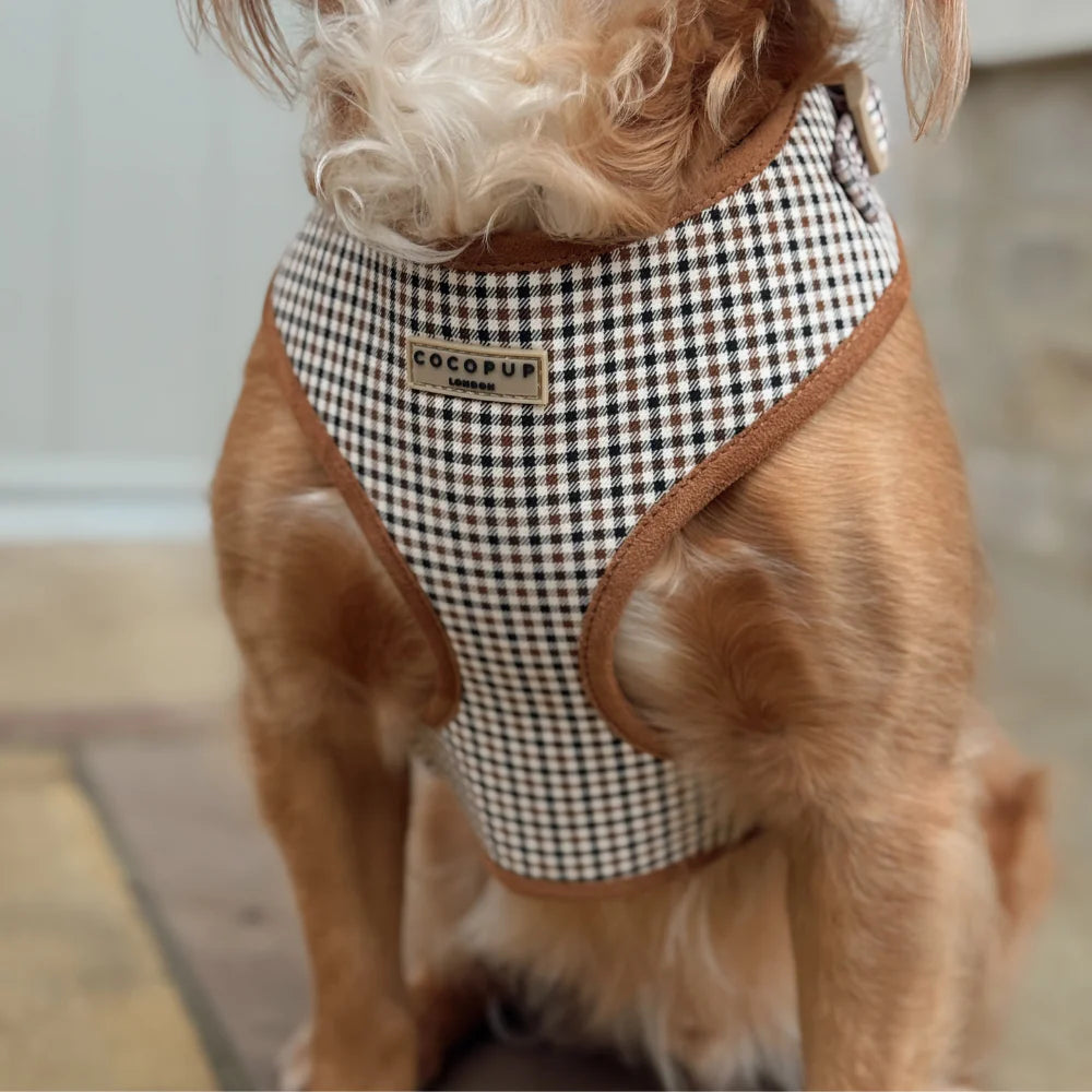 COCOPUP HERITAGE CHECK ADJUSTABLE NECK HARNESS