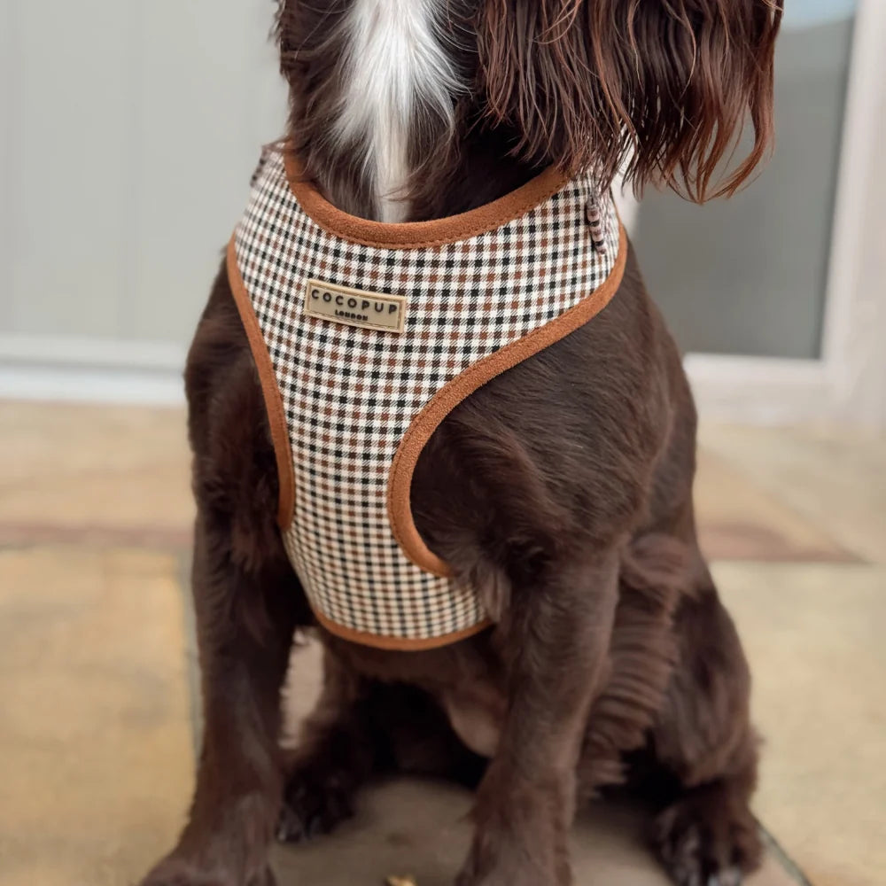 COCOPUP HERITAGE CHECK ADJUSTABLE NECK HARNESS