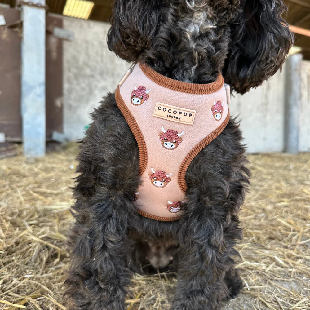 COCOPUP HAROLD THE HIGHLAND COW ADJUSTABLE NECK HARNESS