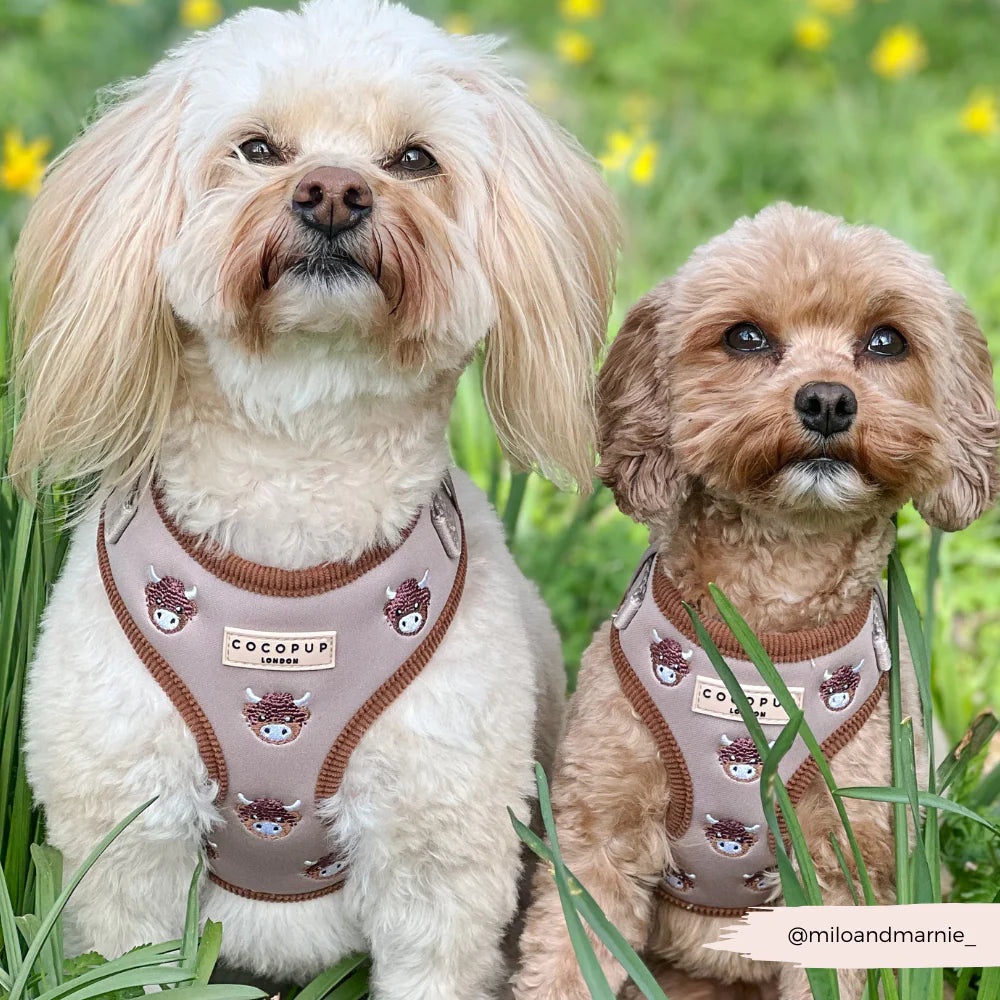 COCOPUP HAROLD THE HIGHLAND COW ADJUSTABLE NECK HARNESS