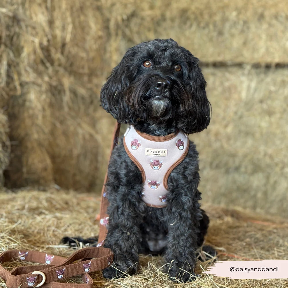 COCOPUP HAROLD THE HIGHLAND COW ADJUSTABLE NECK HARNESS