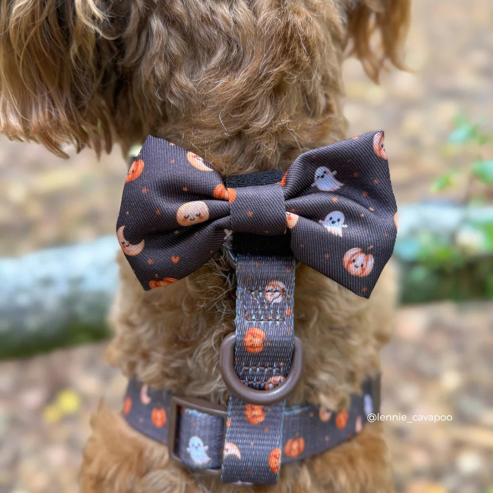 BOO CREW BOW TIE