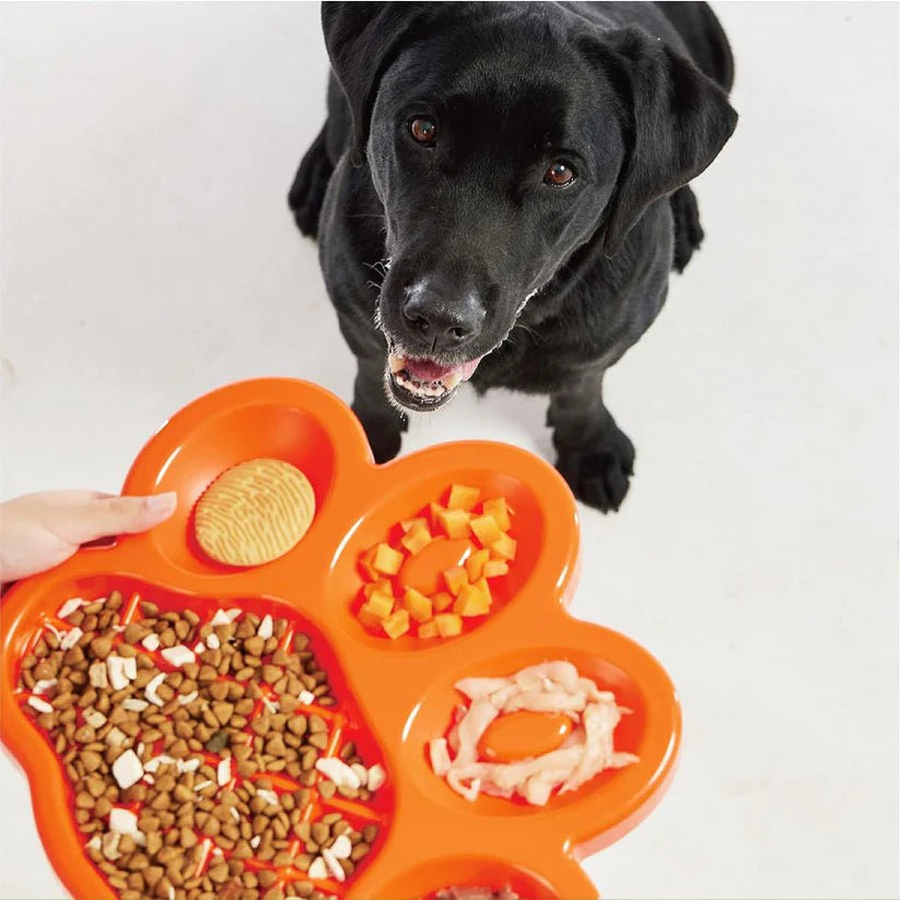 PetDreamHouse PAW Dog Slow Feeder Bowl, Puppies or Cats Plate Food Treats Controls Fast Eating Anti Bloating